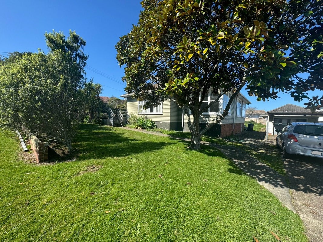 38 Boyce Avenue, Mount Roskill, Auckland - Carousel 1