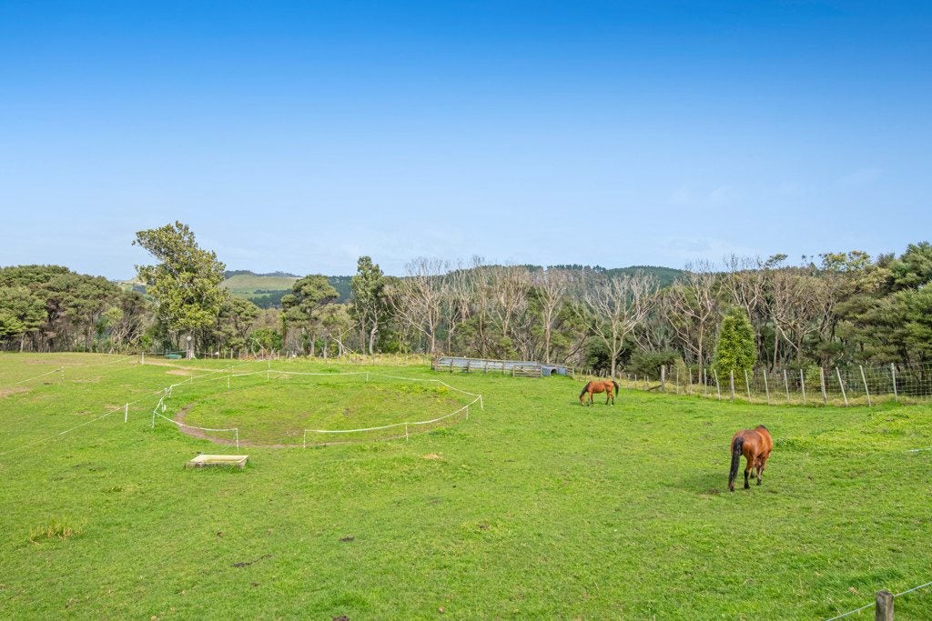 211 Wilson Road, Helensville - Carousel 2