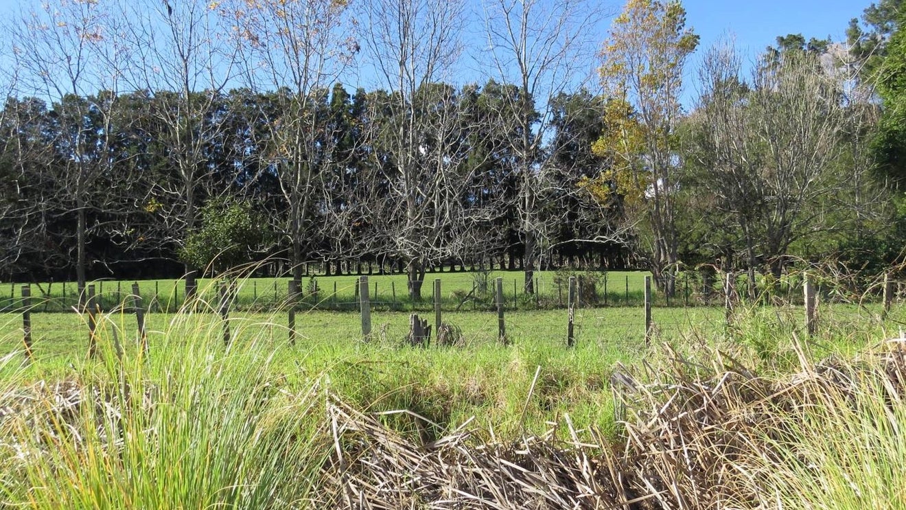305 Motukiore, HOREKE, OKAIHAU - Carousel 1