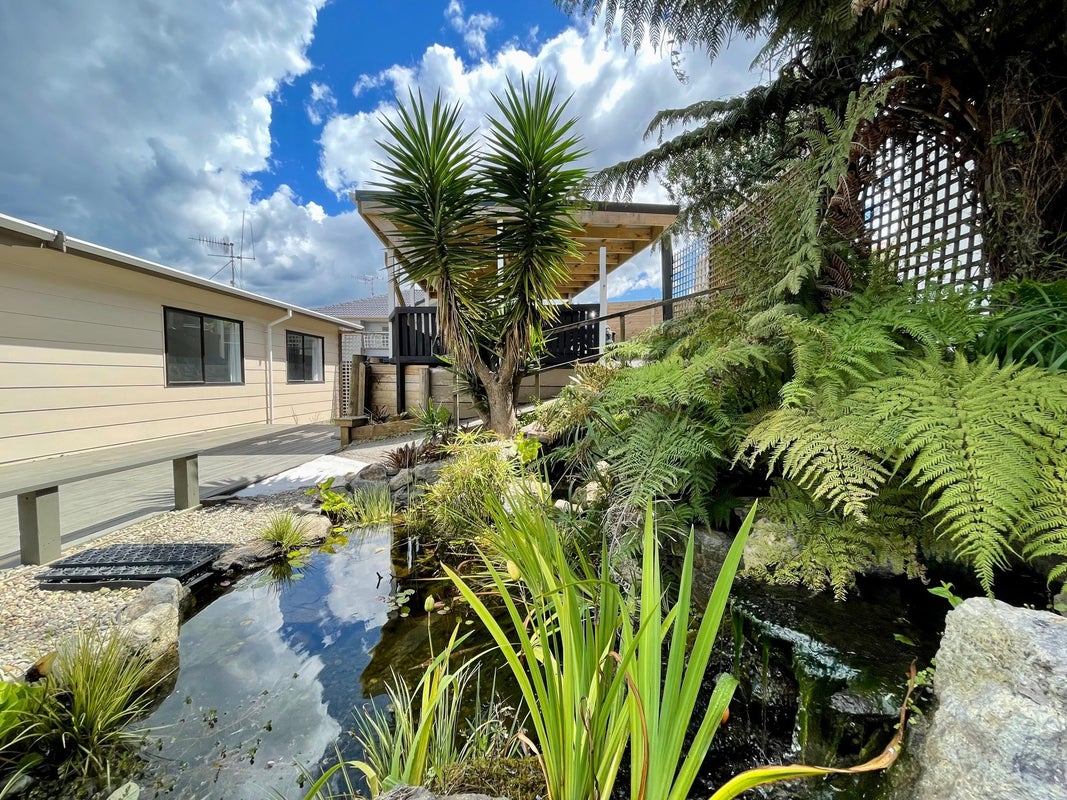 6B The Drive, Brookfield, Tauranga - Carousel 1