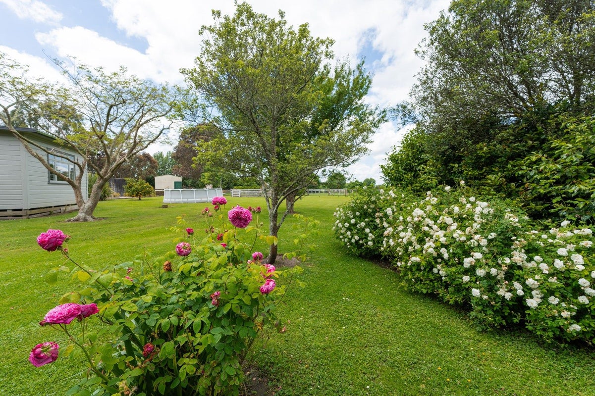 986 Halcombe Road, Halcombe, Feilding - Carousel 32
