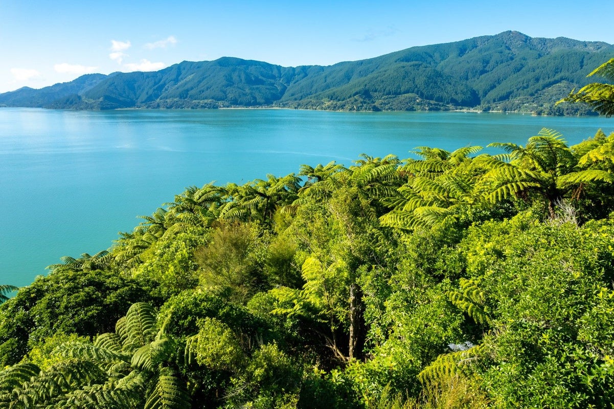 0 Whatanihi Pelorus, Whatanihi Bay, Havelock - Carousel 1