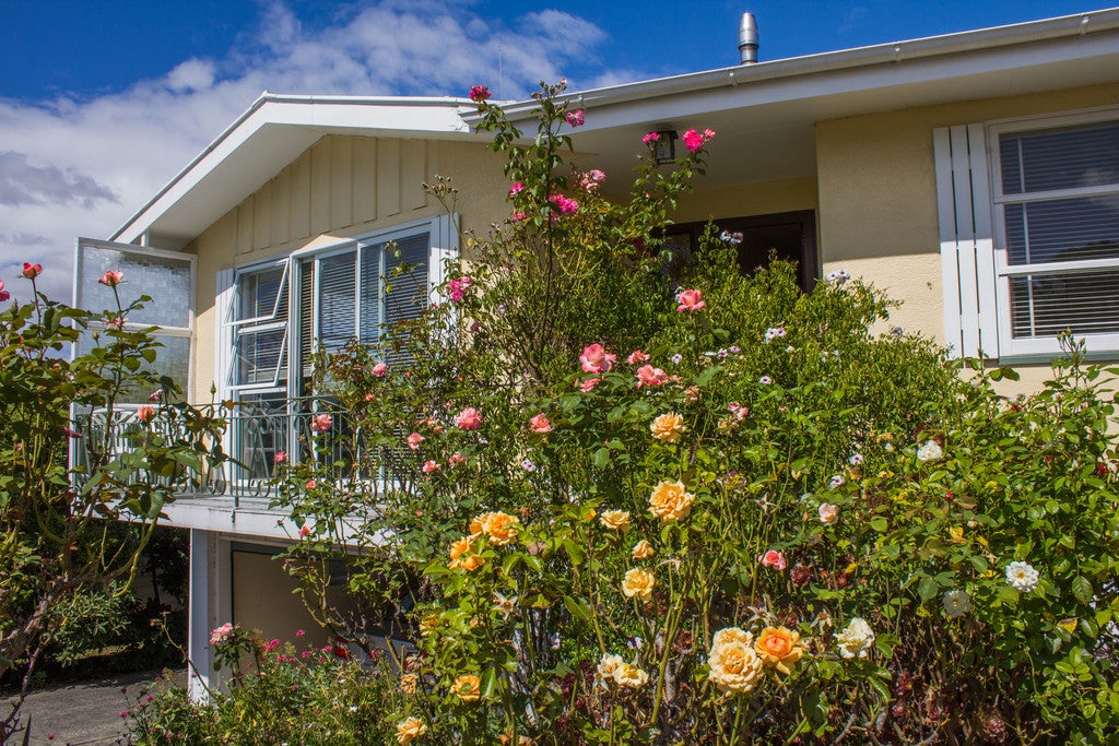 15 Puriri Crescent, Lansdowne, Masterton - Carousel 2