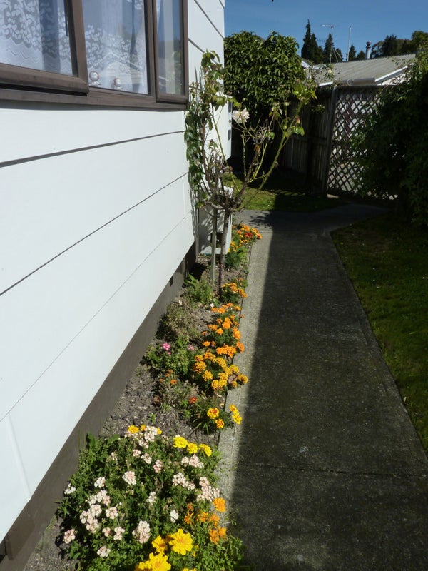 38B Aquarius Drive, Kawaha Point, Rotorua - Carousel 19