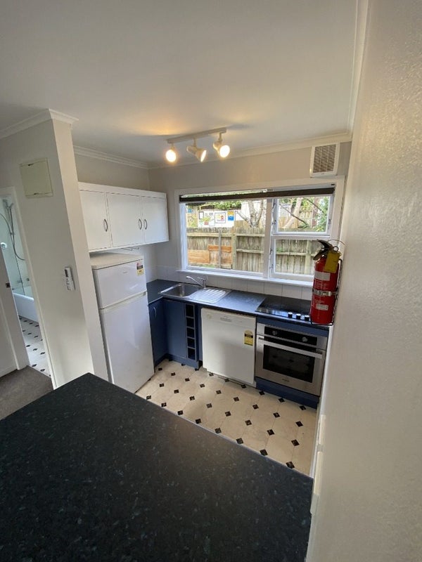 185 Daniell Street, Newtown, Wellington - Carousel 2