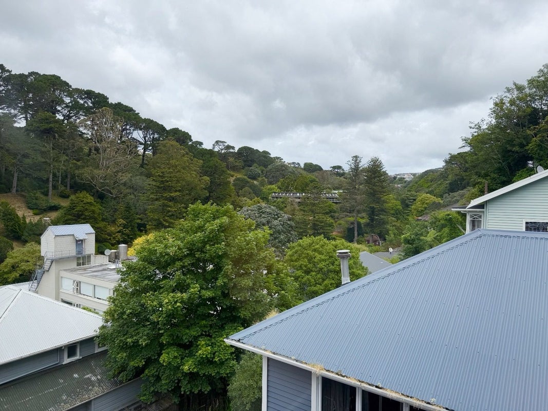 3/14C Glenmore Street, Thorndon, Wellington - Carousel 13