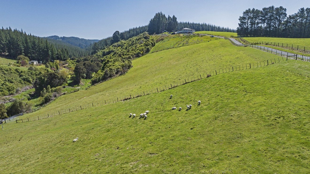 190 Copples Road, Sefton, Rangiora - Carousel 33