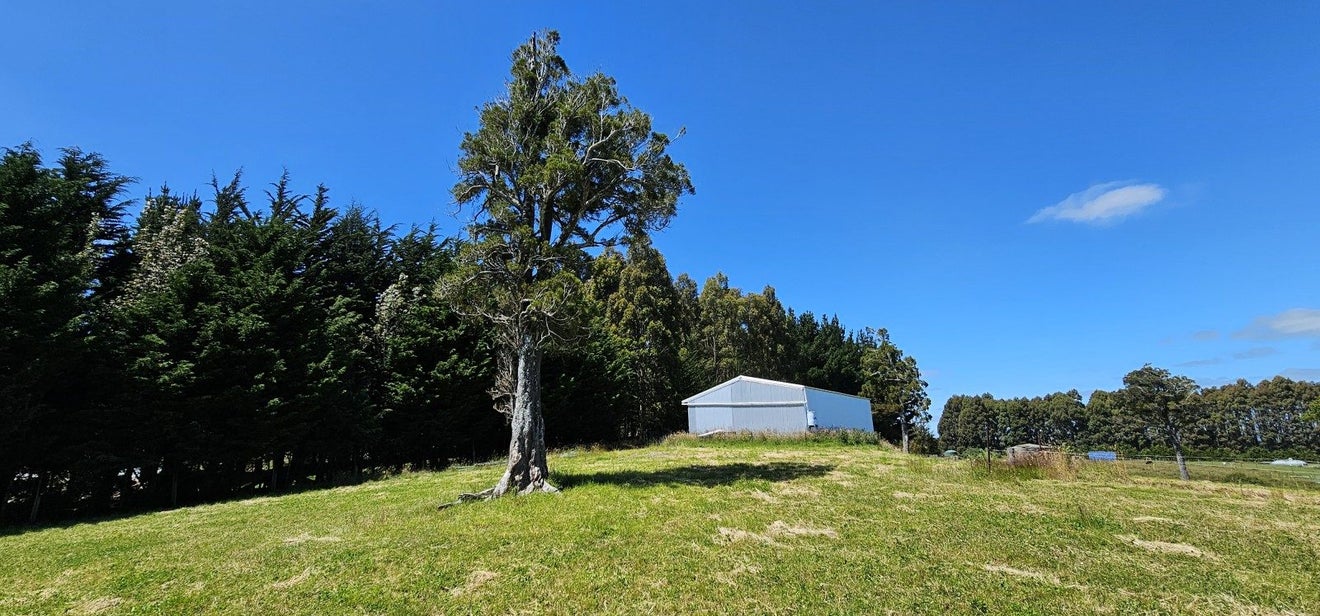 0 Reaby Road, Upper Charlton, Gore - Carousel 4