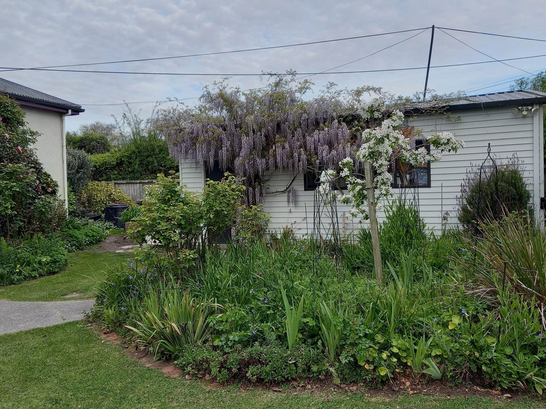 1/123 Studholme Street, Somerfield, Christchurch - Carousel 17