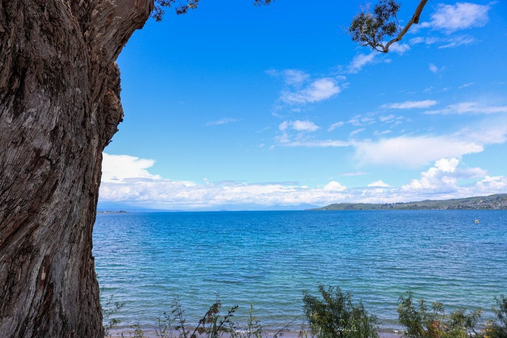 8/9 Tui Street, Taupo, Taupo - Carousel 24