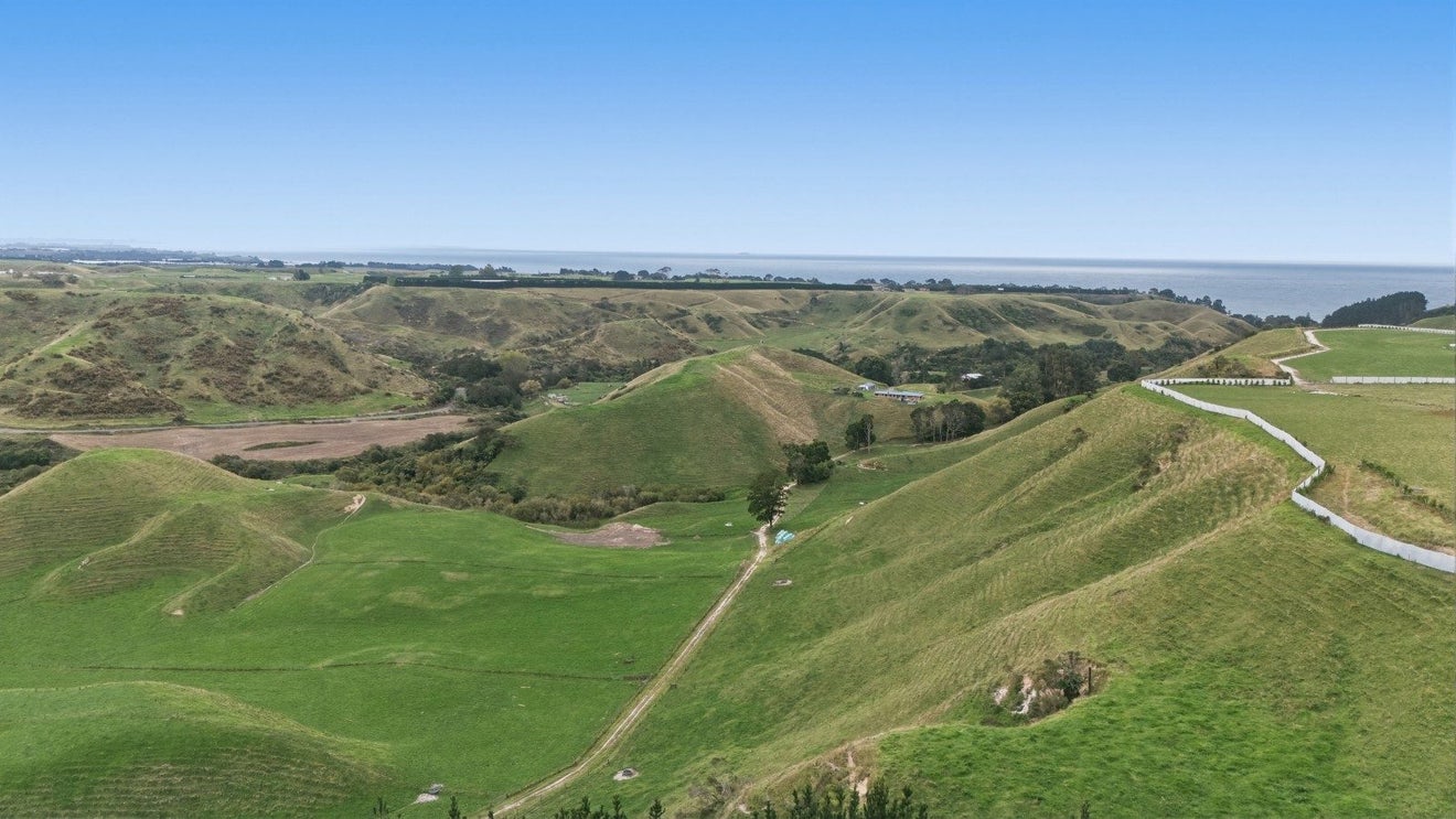 147D Pikowai Road, Pikowai, Whakatane - Carousel 22
