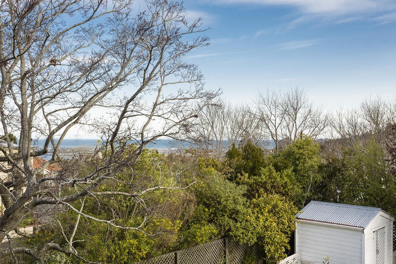 14 Claremont Street, Maori Hill, Dunedin - Carousel 20