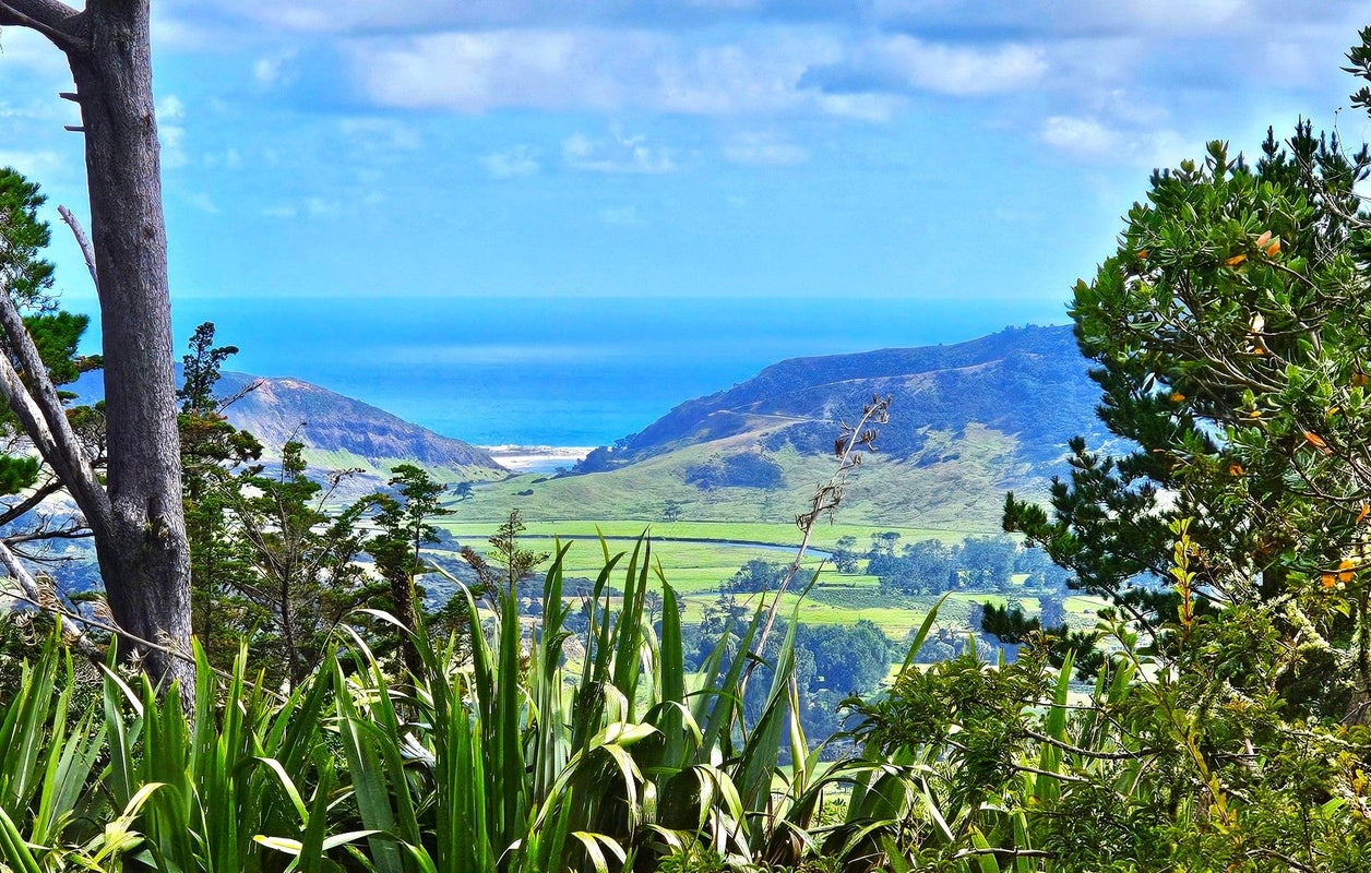 416 Pinehill Road, Waimamaku, Kaikohe - Carousel 2