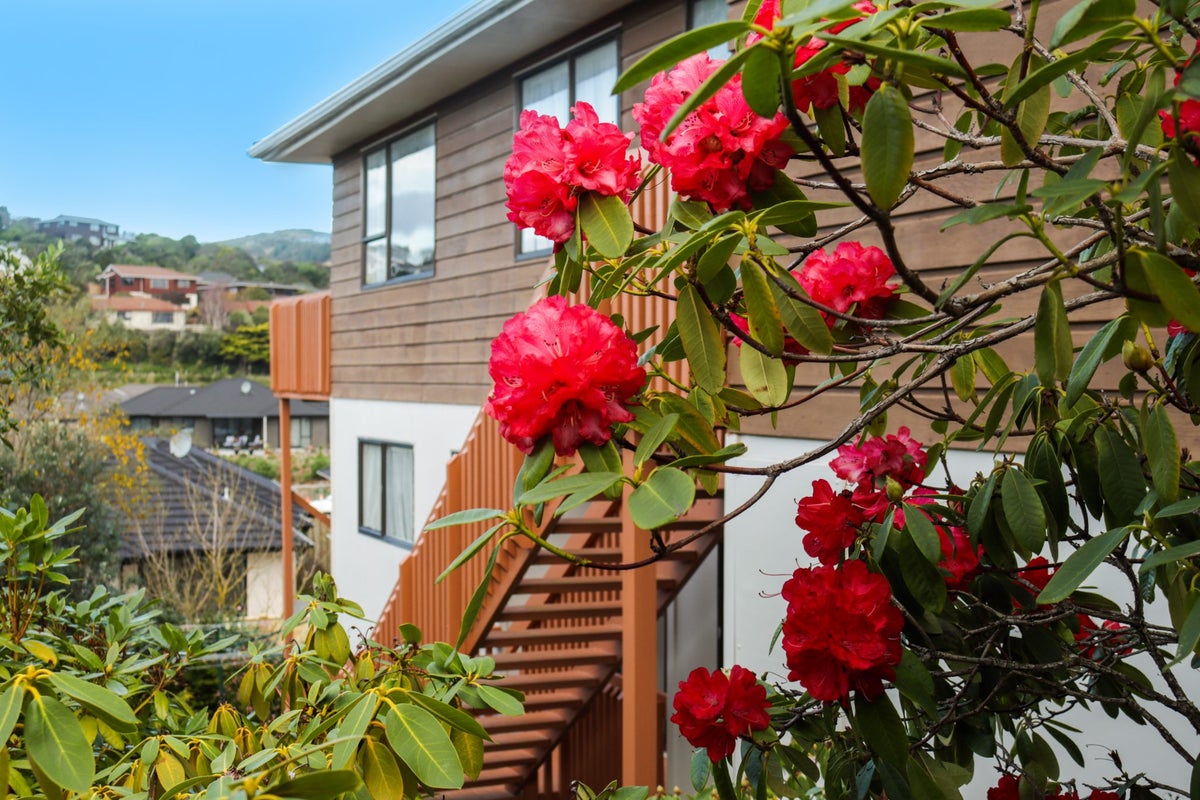 9 Ration Lane, Whitby, Porirua - Carousel 1