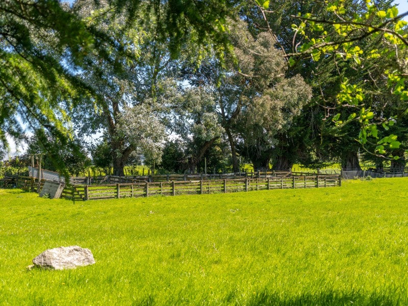 283 Manaia Road, Homebush, Masterton - Carousel 26