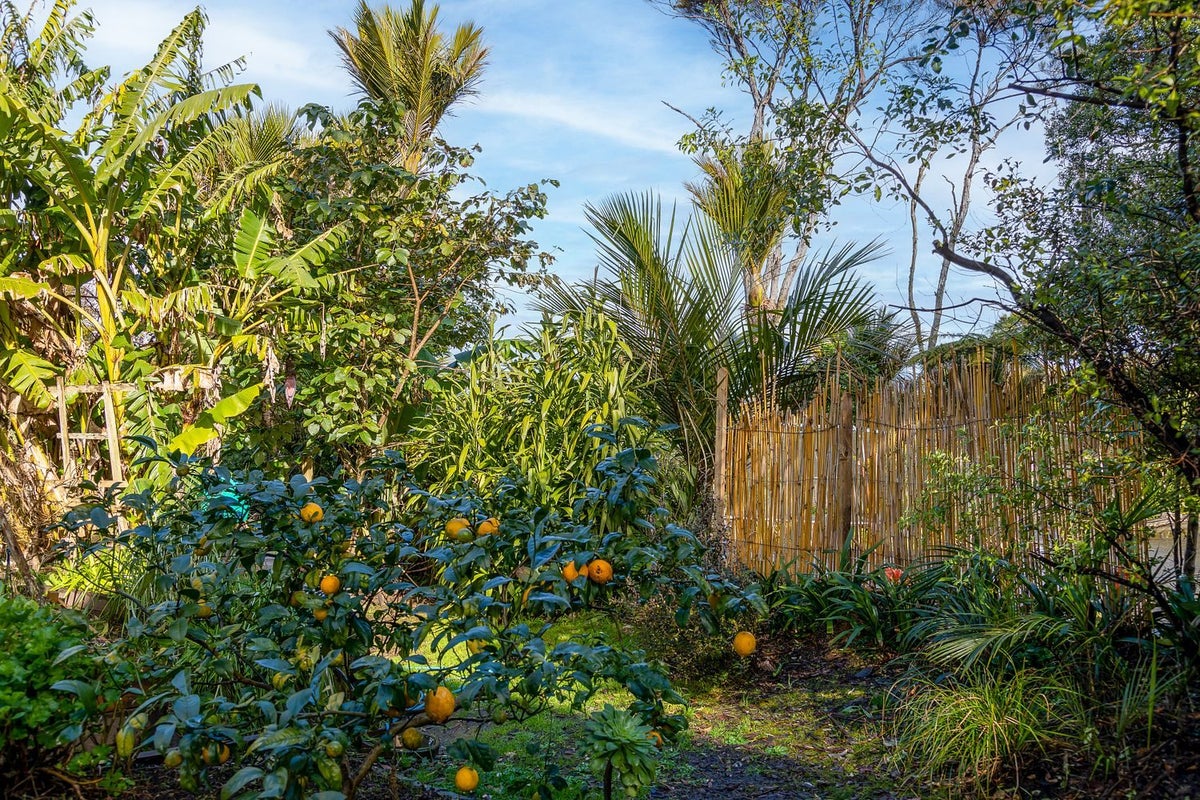 2 Kauri Point Road, Laingholm, Auckland - Carousel 10