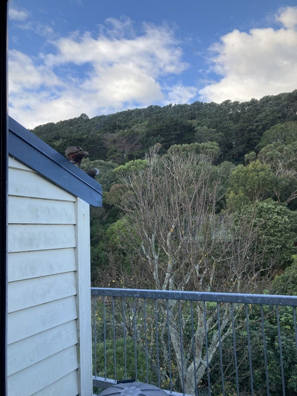 29 Lawson Place, Mount Victoria, Wellington - Carousel 2