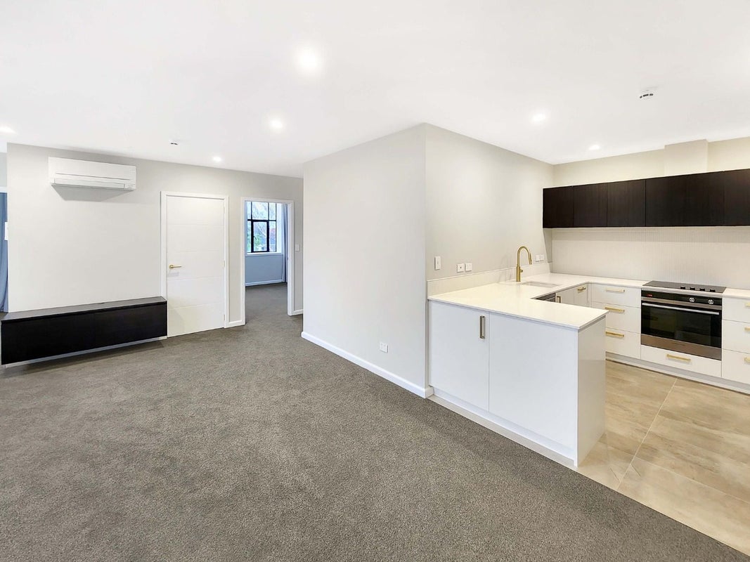 111/157 Waterloo Road, Hutt Central, Lower Hutt - Carousel 2