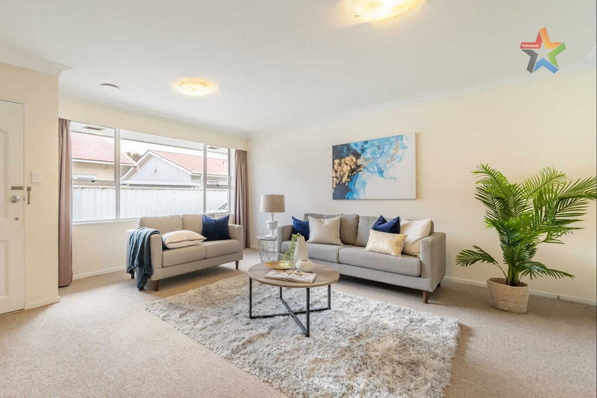 3/38 Pretoria ST, Hutt Central, Lower Hutt - Carousel 2