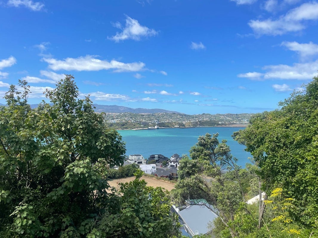 6B Peranga Terrace, Hataitai, Wellington - Carousel 1