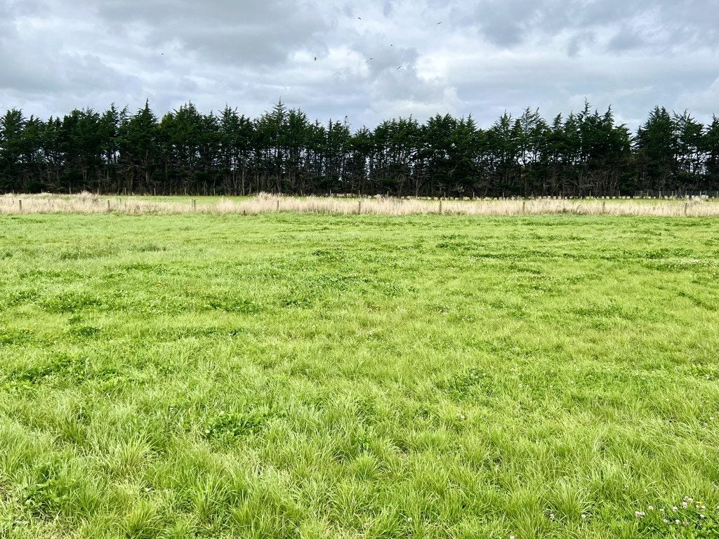 79 Brunswick Way, Seaward Bush, Invercargill - Carousel 6