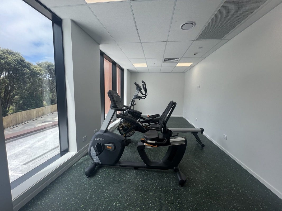 20 Park Avenue, Grafton, Auckland - Carousel 18