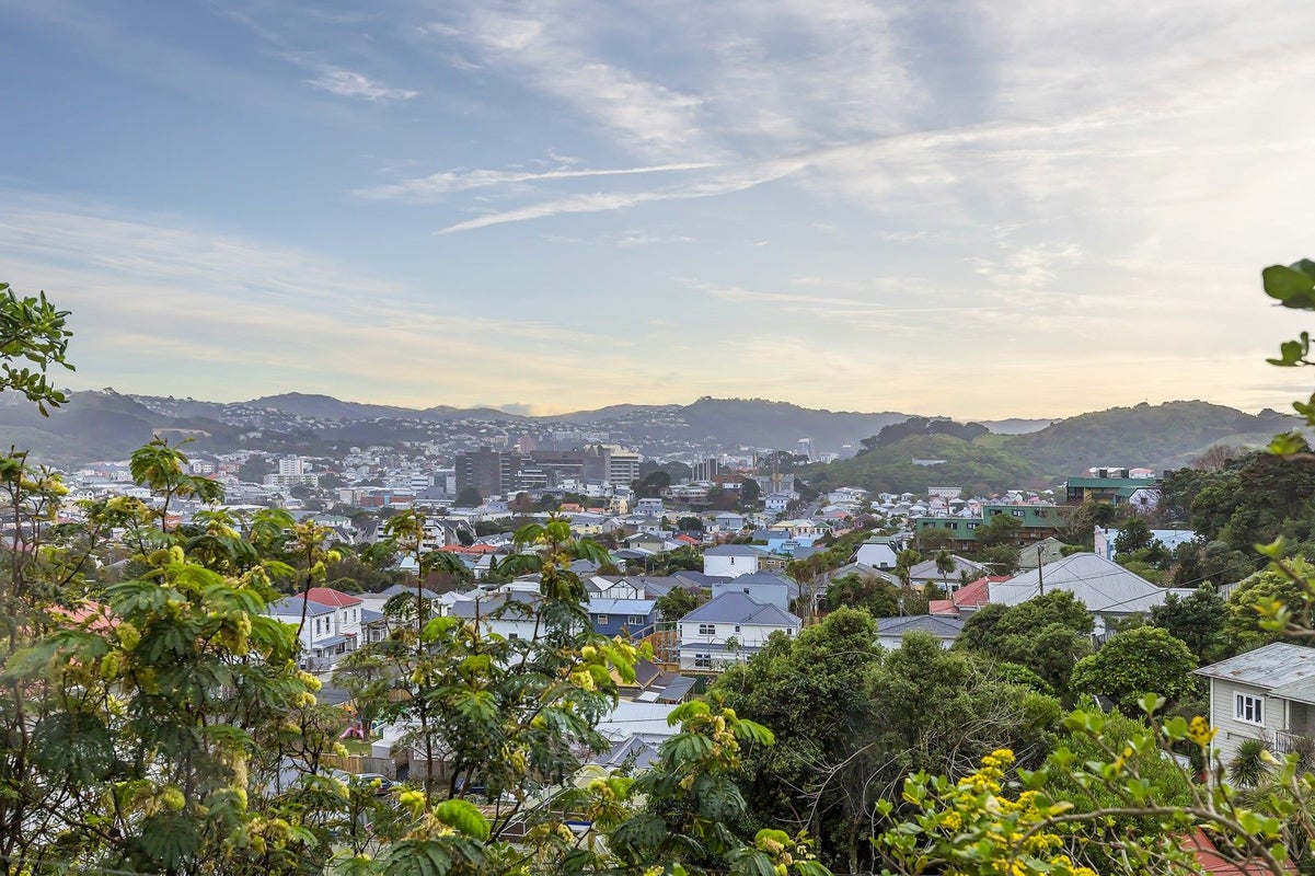 3/153 Owen Street, Newtown, Wellington - Carousel 2