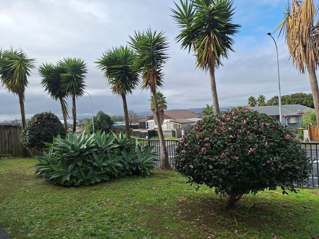 106 Alfriston Road, Manurewa, Auckland - Carousel 14