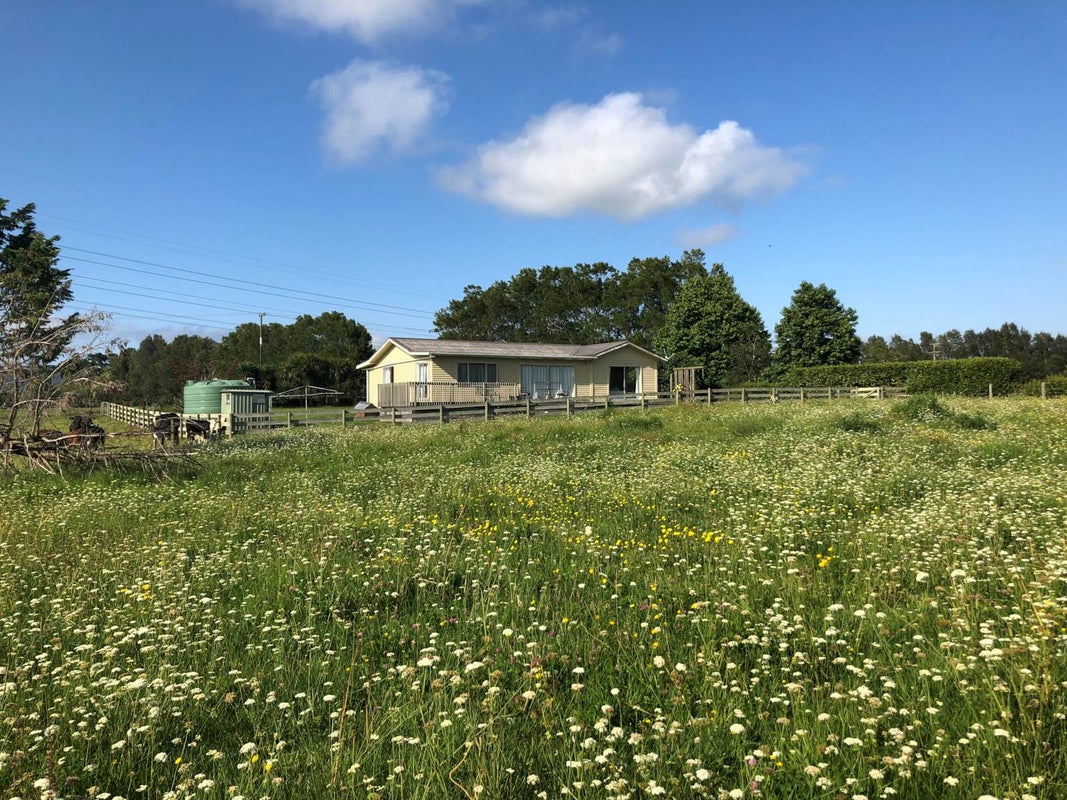 149 Port Marsden Highway, RUAKAKA, WHANGAREI - Carousel 2