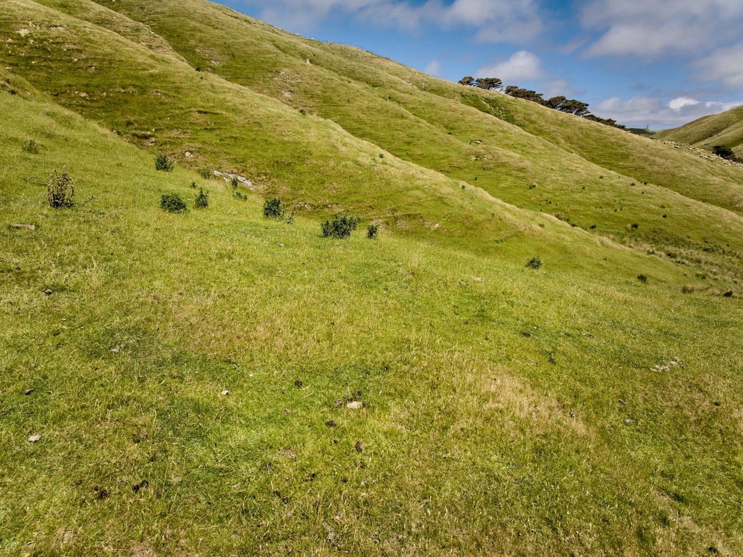 319 Boom Rock Road, Ohariu, Wellington - Carousel 18