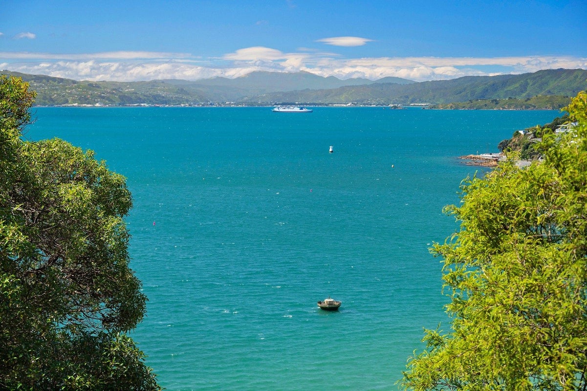 1 Oriental Terrace, Oriental Bay, Wellington, Wellington - Carousel 2