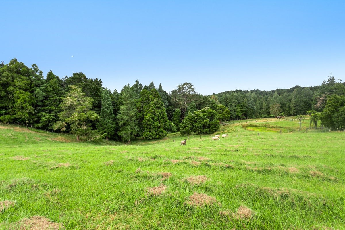 58 Old Valley Road, Okaihau, Okaihau - Carousel 39