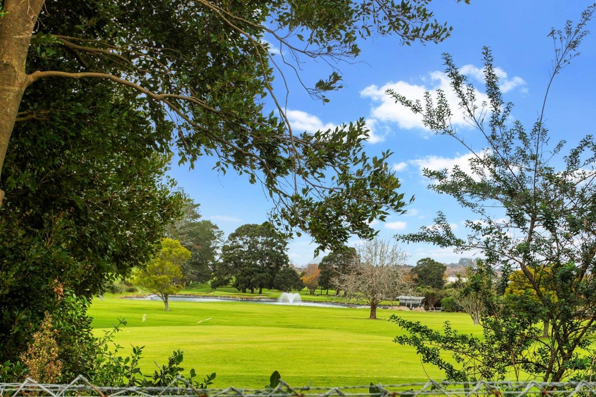595A Richardson Road, Mount Roskill, Auckland - Carousel 1