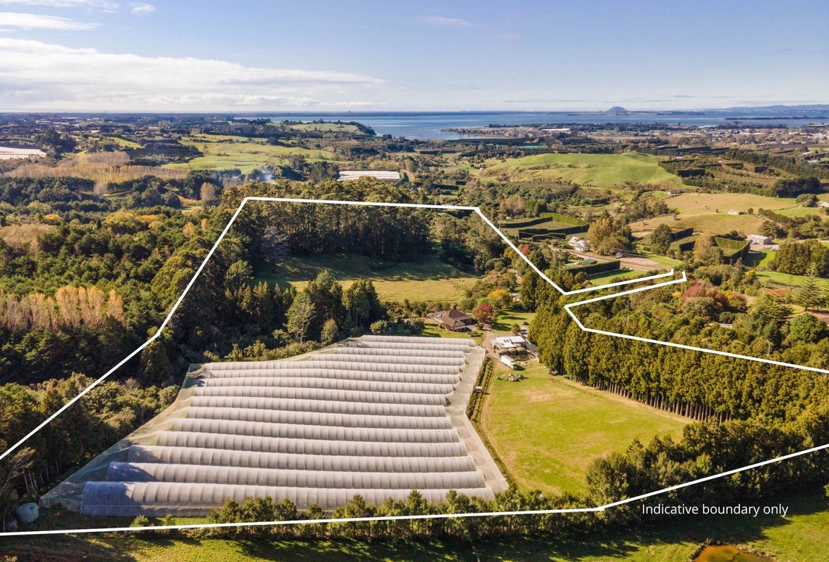 234 Willoughby Road, Tahawai, Katikati - Carousel 2