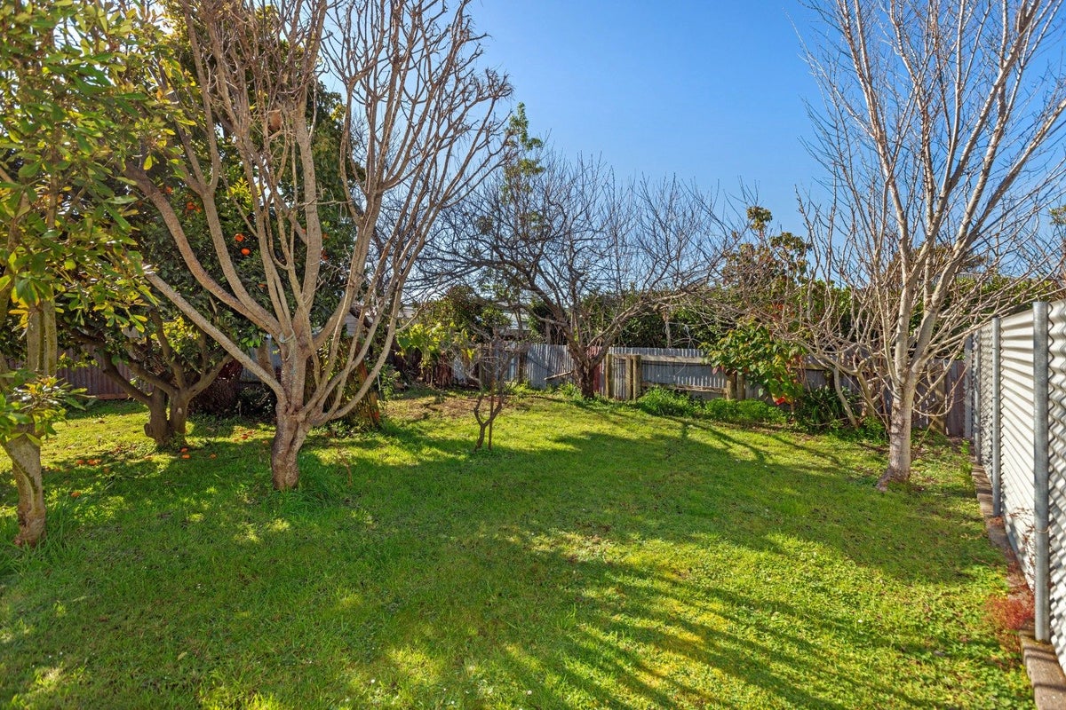 16 Wellington Street, Te Hapara, Gisborne - Carousel 19