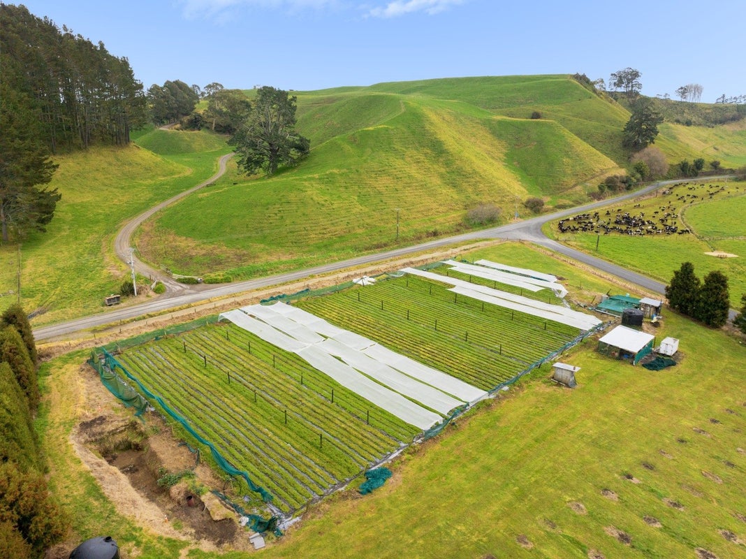 24 Johnson Road, Pukehina, Te Puke - Carousel 18
