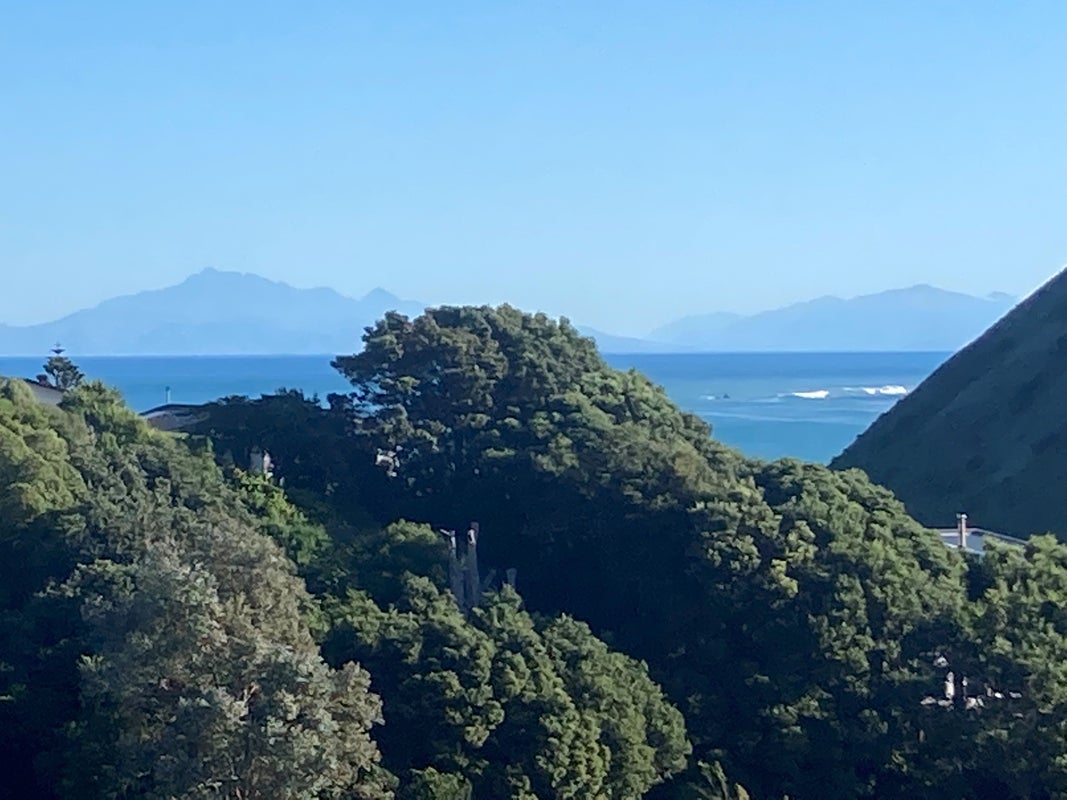 116A Severn Street, Island Bay, Wellington - Carousel 2