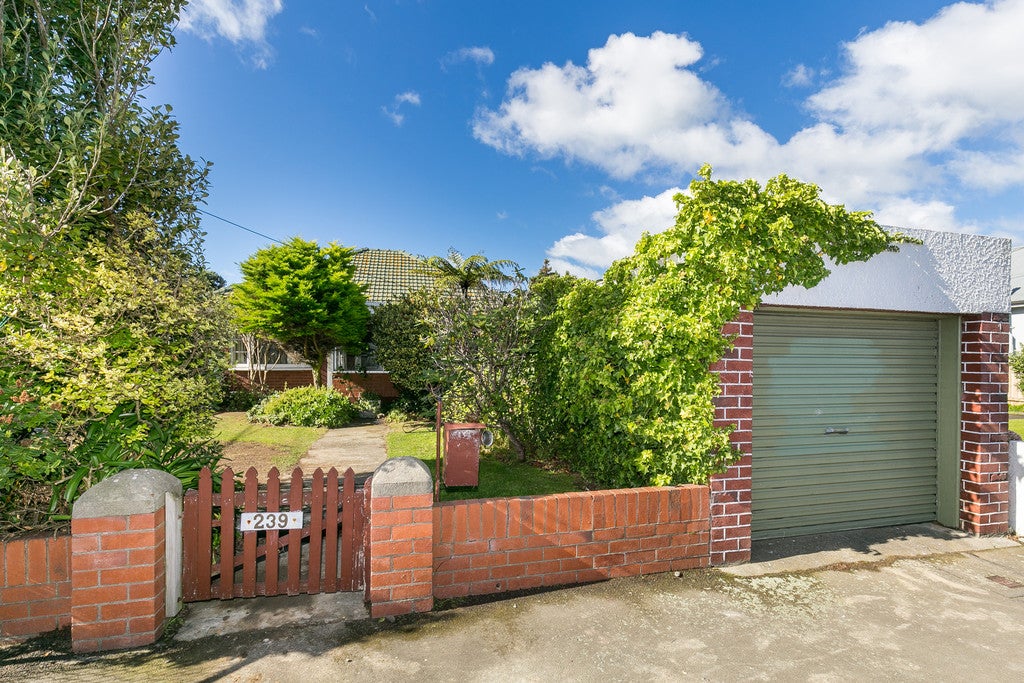 239 Rintoul Street, Berhampore, Wellington - Carousel 2