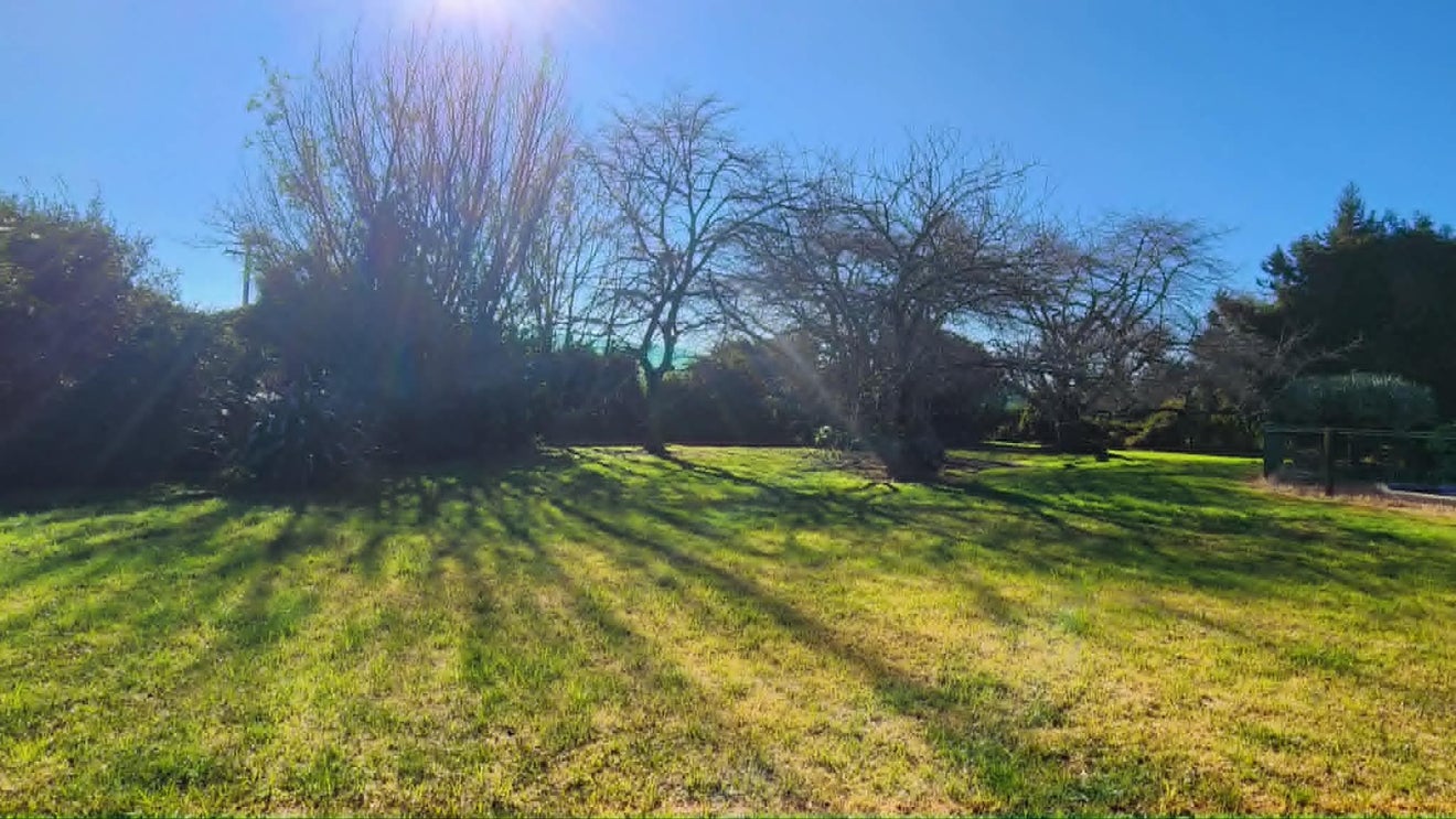 41 Lemon Road, Paengaroa, Te Puke - Carousel 20