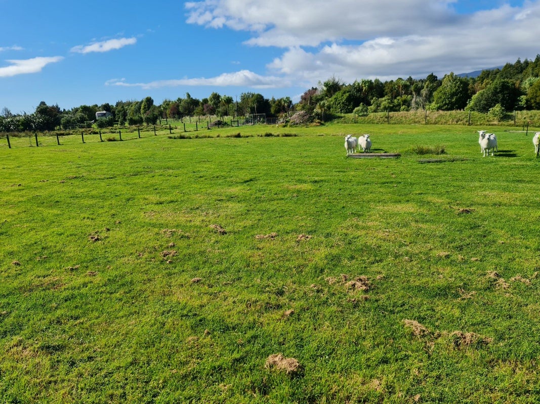 0 Waimea Terrace Drive, Westport, Cape Foulwind - Carousel 2