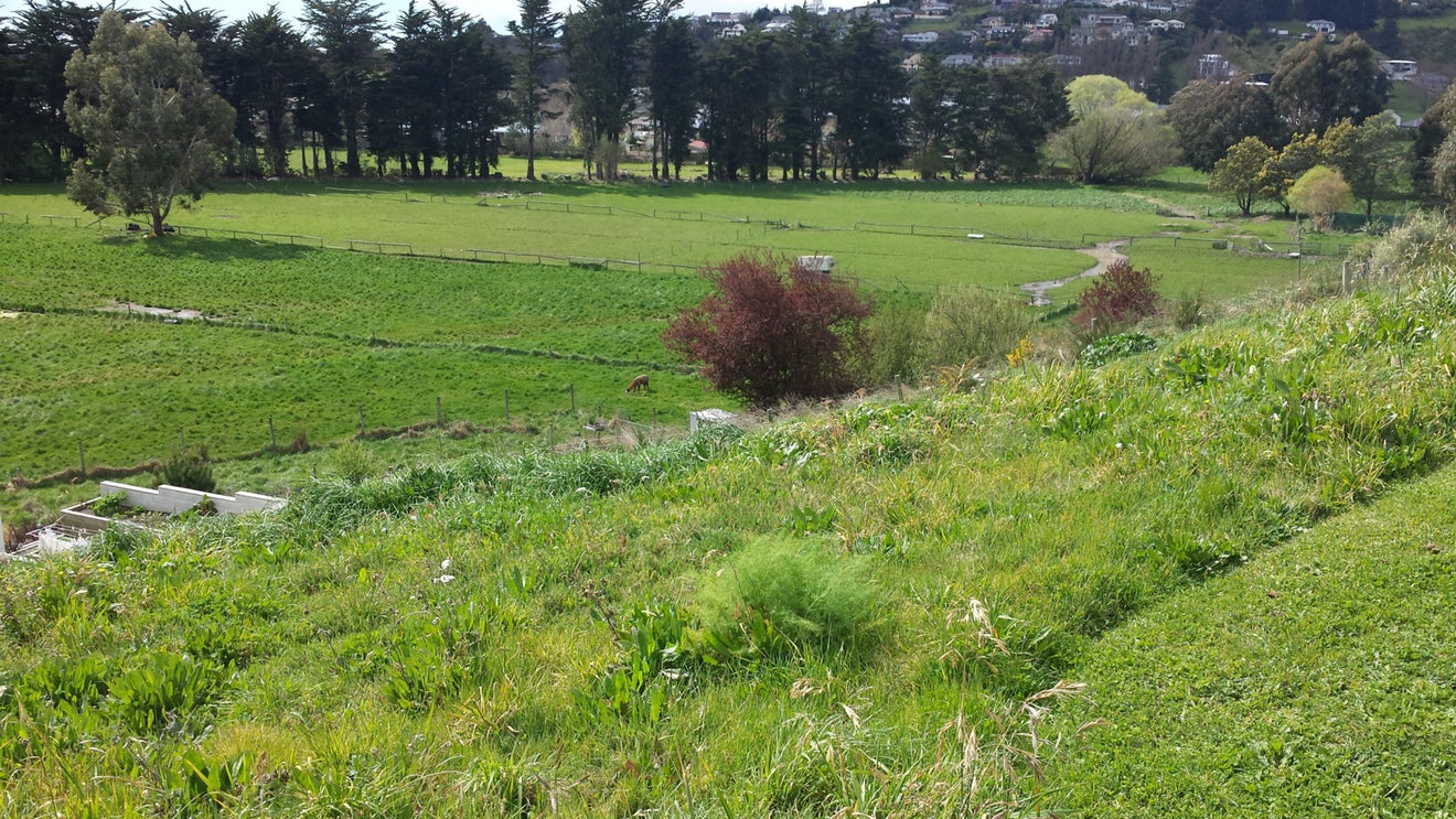 5 Hadleigh Lane, Westmorland, Christchurch - Carousel 1