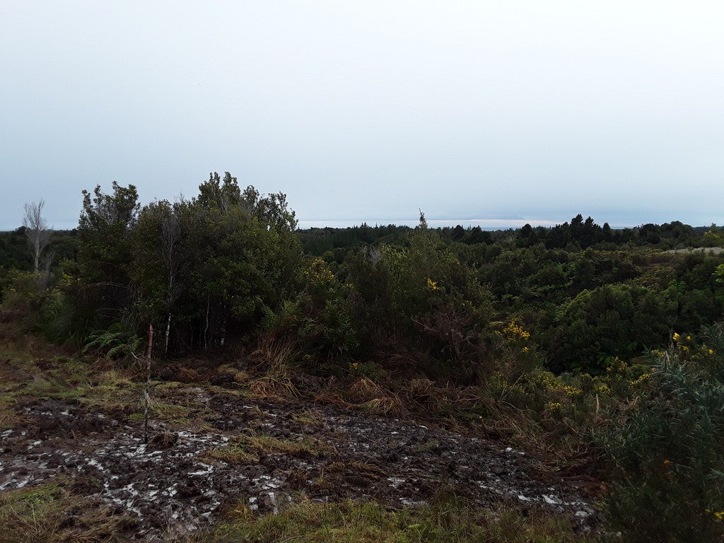 8 Little Paddock, BLUE SPUR, HOKITIKA - Carousel 4
