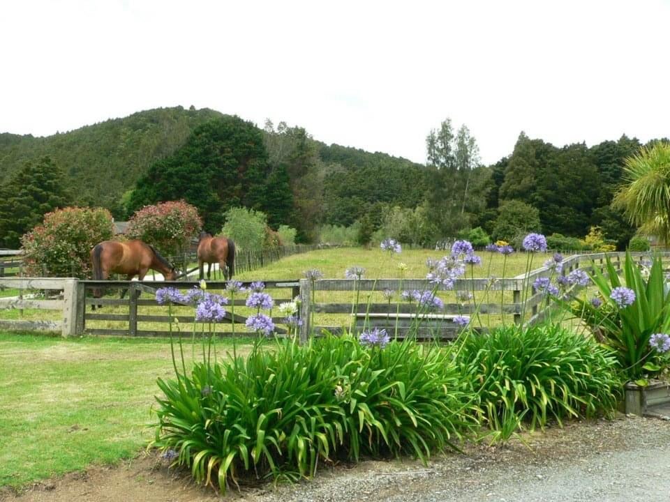 342 Crane Road, Kamo - Carousel 2