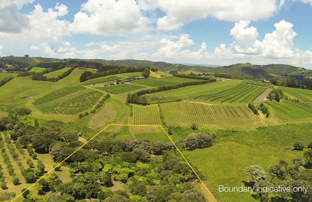 5 Brown Road, Onetangi, Waiheke Island - Carousel 2