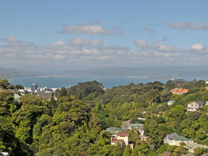 11 Northland Road, Northland, Wellington - Carousel 1