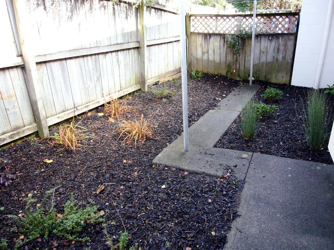 3 Seymour Road, Sunnyvale, Auckland - Carousel 11