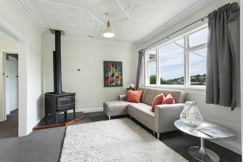 14 Thomson Street, Lookout Point, DUNEDIN - Carousel 2