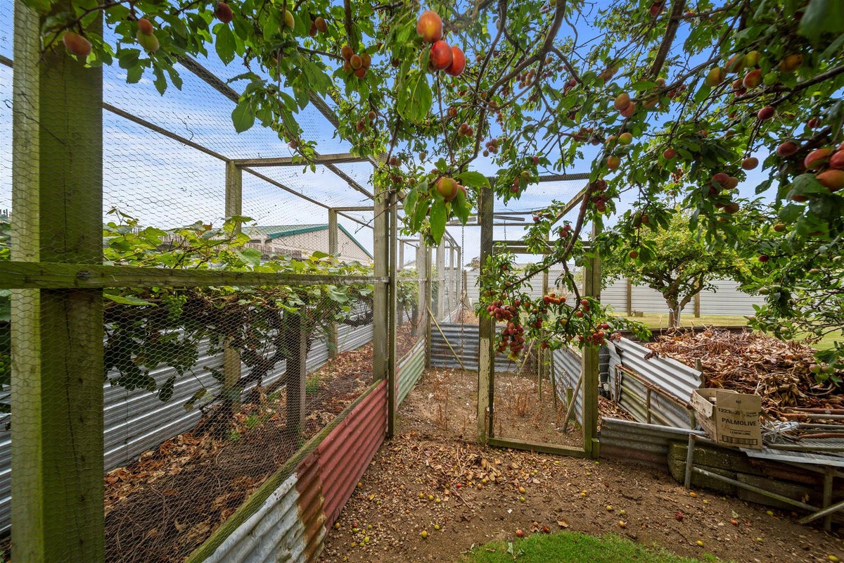 425 Waihi Road, Normanby, Hawera - Carousel 20