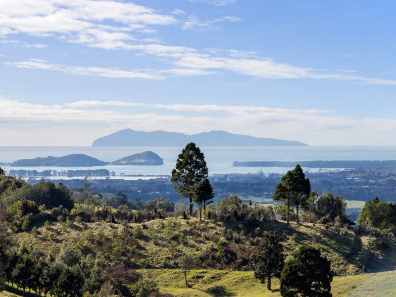 413D Busby Road, Tahawai, Katikati - Carousel 1