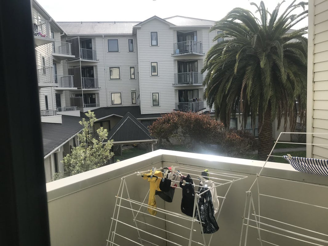 B4/13 Palm Grove, Berhampore, Wellington - Carousel 2
